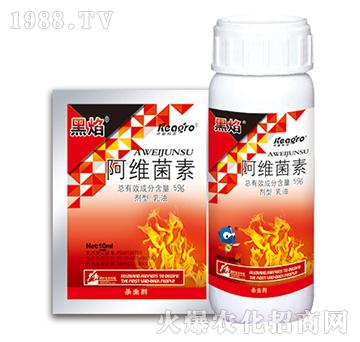 5%���S����-����-���¿��r