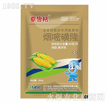 ���׻�¡-�ݽԿ�-�h(yu��n)Ҋ