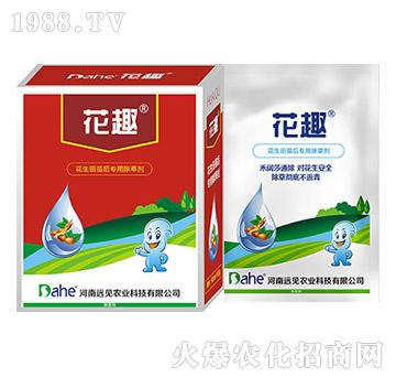 花趣-遠(yuǎn)見農(nóng)業(yè)