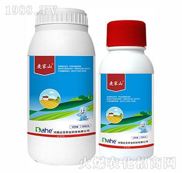 21%���졤�R����-��