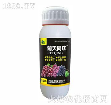 葡天同慶-寶典實(shí)業(yè)