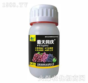 葡天同慶（200ml）-寶典實(shí)業(yè)