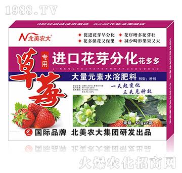 草莓專用進(jìn)口花芽分化-北美農(nóng)大