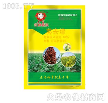 ݬȥ��-���R�t�Z��-