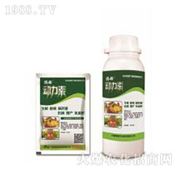 ������-�̸�-�ɭ�r�I(y��)