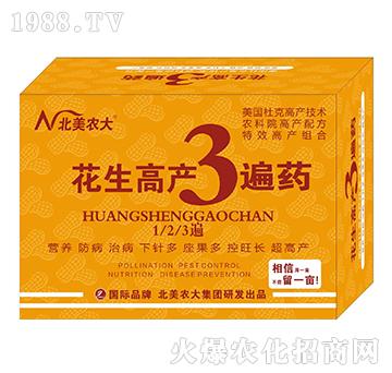 �����߮a3��ˎ-�����r��