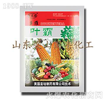 葉霸-梁山國(guó)豐