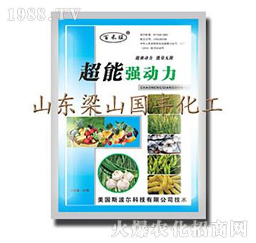 超能強動力-梁山國豐