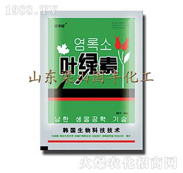 葉綠素（袋）-梁山國豐