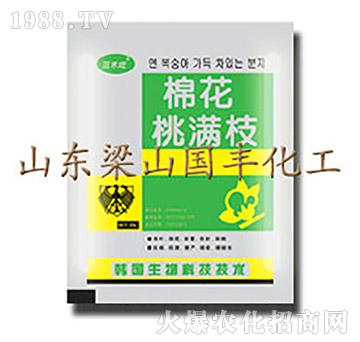 棉花桃滿枝（25g）-梁山國豐