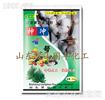 新神沖1號-梁山國豐