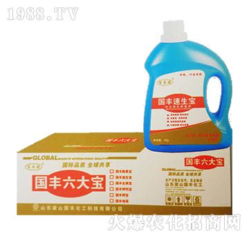 國豐速生寶-梁山國豐