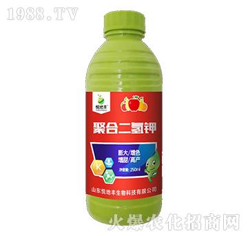 �ۺ϶����-�����S