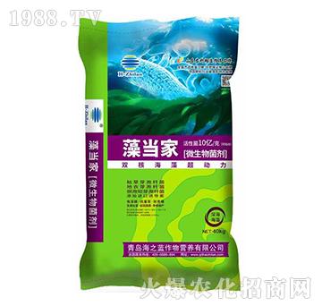 微生物菌劑-藻當(dāng)家-海之藍(lán)