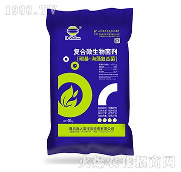 復(fù)合微生物菌劑-碳基海藻復(fù)合菌-海之藍(lán)