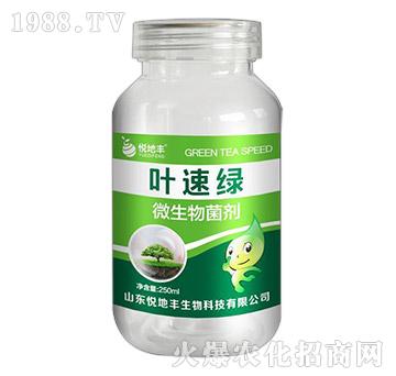 微生物菌劑-葉速綠-悅地豐