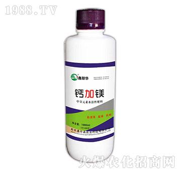 �}���V-��(li��n)�A-�W��ɭ