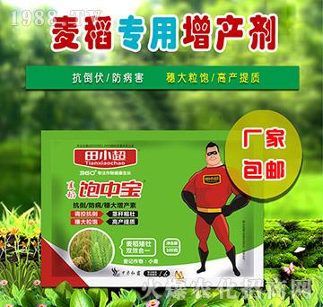 100g麥稻飽中寶-田小超