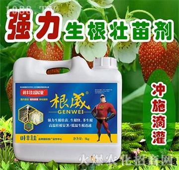 強(qiáng)力生根壯苗劑-根威-葉豐佳超能量