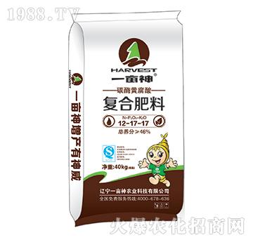 碳酶黃腐酸復合肥12-17-17-一畝神