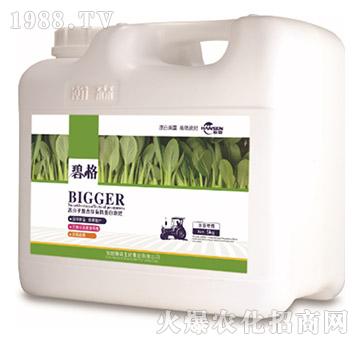 葉菜專用高分子復(fù)合肽有機(jī)蛋白液肥（5kg）-碧格-瀚森農(nóng)業(yè)