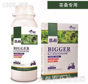 茶桑專用高分子復(fù)合肽有機(jī)蛋白液肥-碧格-瀚森農(nóng)業(yè)