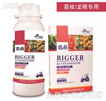 荔枝龍眼專用高分子復(fù)合肽有機(jī)蛋白液肥-碧格-瀚森農(nóng)業(yè)