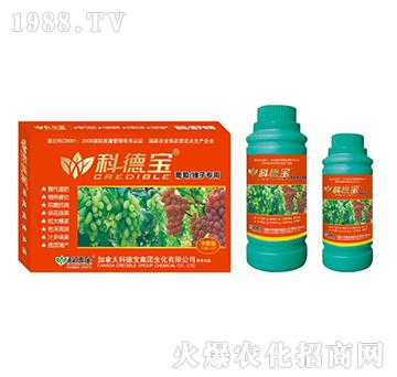 ���������ӌ��àI�B(y��ng)���a(ch��n)�{(di��o)�턩-�Ƶ�