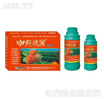草莓專用營(yíng)養(yǎng)增產(chǎn)調(diào)理劑-科德寶