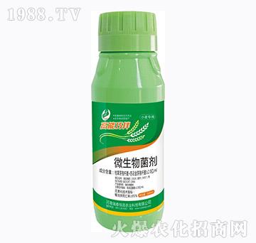 微生物菌劑-高能巧拌小麥-瑞泰恒昌