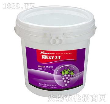 �����t-���~�r