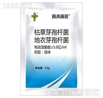 枯草芽孢桿菌地衣芽孢桿菌-巧喜