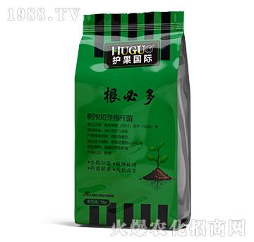 根必多-護(hù)果國(guó)際