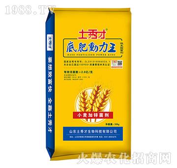 小麥加鋅菌劑-底肥動力王-土秀才