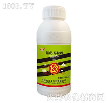 20%���졤�R����-��