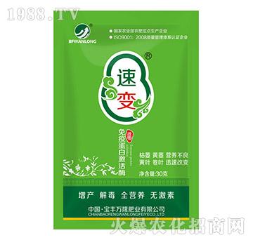 ���ߵ��׼���ø-��׃-