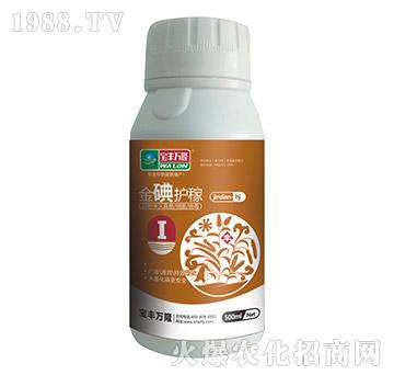 ����o(h��)��-���S�f¡