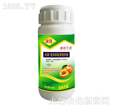 �Ҙ䌣�ÿݲݡ��z�����