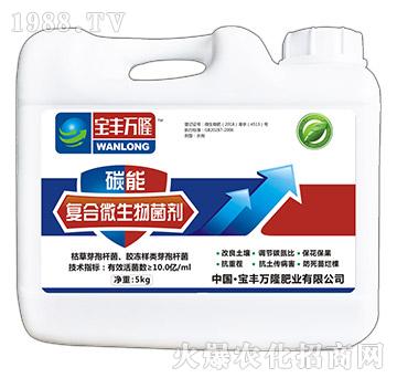 復(fù)合微生物菌劑-碳能-寶豐萬隆