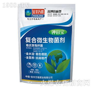 高鉀抗病型復(fù)合微生物菌劑-鉀田寶-寶豐萬隆