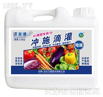 蔬菜專用沖施滴灌母液-沃豐康-寶豐萬隆