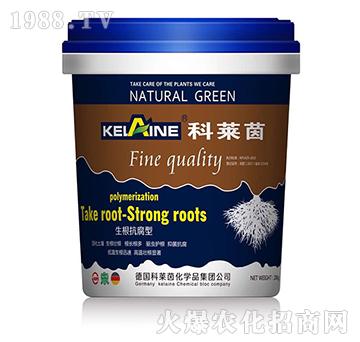 ����������-���R��-�W