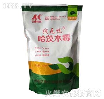 哈茨木霉-線(xiàn)無(wú)憂(yōu)-艾康作物