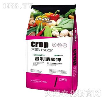 智利硝酸鉀-金泰亨