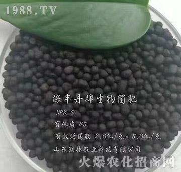 生物菌肥-保豐丹-潤林農業(yè)