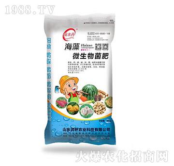 海藻微生物菌肥-保豐丹-潤(rùn)林農(nóng)業(yè)