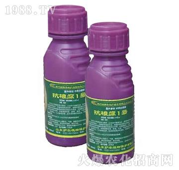 ������1̖-�o(h��)�r(n��ng)