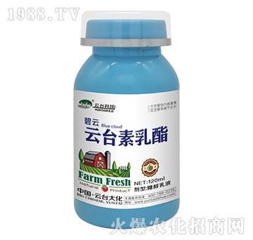 云臺(tái)素乳酯-云臺(tái)大化