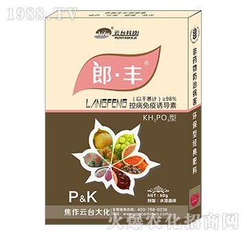 郎·豐-云臺大化