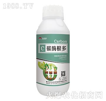 ̼ø����-���_��